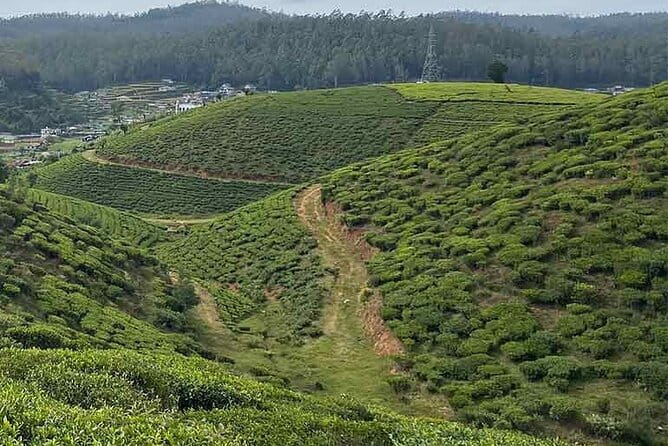 The Pekoe Trail Stage 16- Ella to Demodara - Pekoe Trail Stage 16 at a glance: what you’re really signing up for