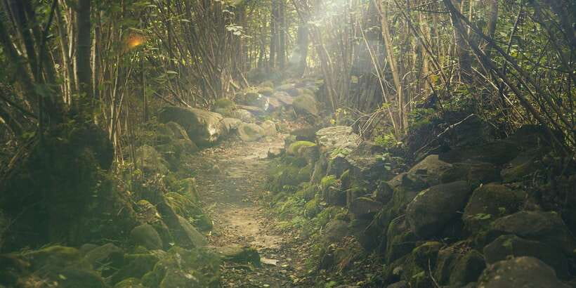 Thrills of Kitulgala - What to bring: your checklist for a wet, active day