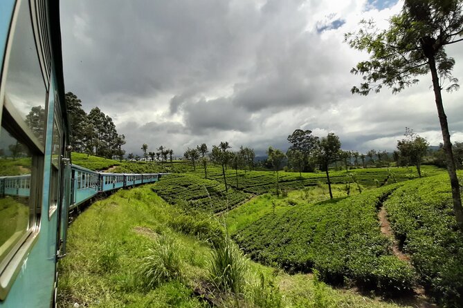 Train from Colombo to Kandy - Key Highlights You’ll Actually Notice