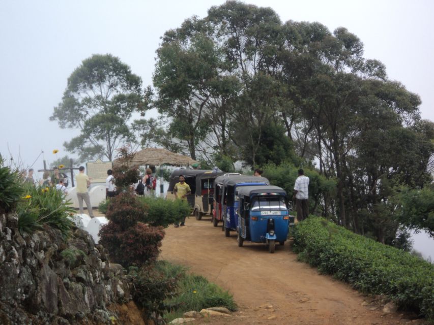 Tuk-Tuk Safari Liptons seat,Tea Fields Hike,TeaFactory Tour - Who should book (and who should think twice)