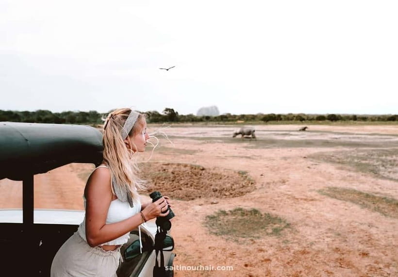 UDAWALAWA SAFARI TOUR from HAMBANTOTA PORT (Shore Excursion) - Should you book this Udawalawe safari from Hambantota Port?