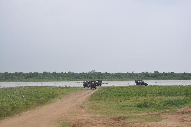 Udawalawe National Park Safari from Bentota - Who should book this Udawalawe safari from Bentota