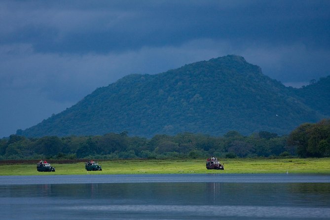 Udawalawe National Park Safari from Bentota - The Udawalawe safari: what the 4x4 hunt feels like