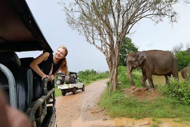 Udawalawe National Park Safari | From Ella - From Ella at 11:30: how the day actually starts