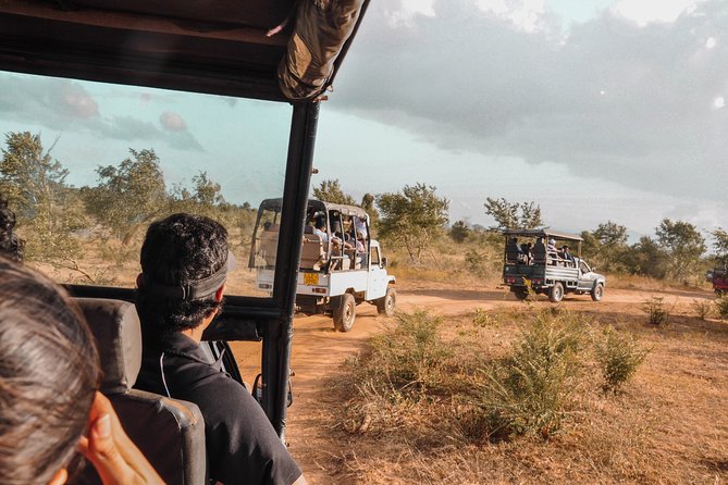 Udawalawe National Park Safari from Galle - Should you book the Udawalawe safari from Galle?