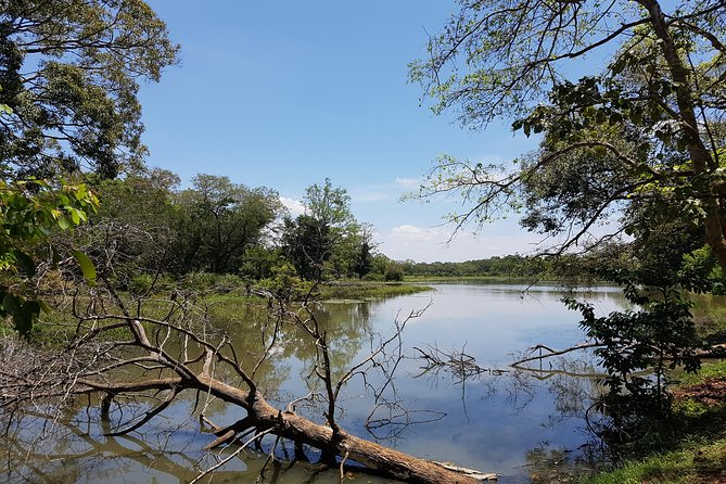Udawalawe National Park Safari trip from Galle/Mirissa/Ella - Should you book Udawalawe from Galle?