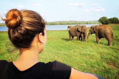 Udawalawe National Park Safari With Transfers From Colombo - Price and value: what $175 gets you (and what it doesn’t)