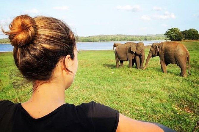 Udawalawe National Park Safari With Transfers From Colombo - Price and value: what $175 gets you (and what it doesn’t)