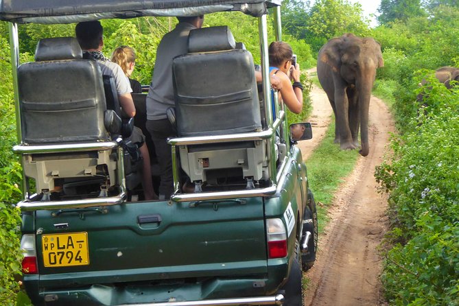 Udawalawe Safari Day Trip from South Region & Transfer to Ella - Price and value: what $180 covers (and why it’s not just the jeep)