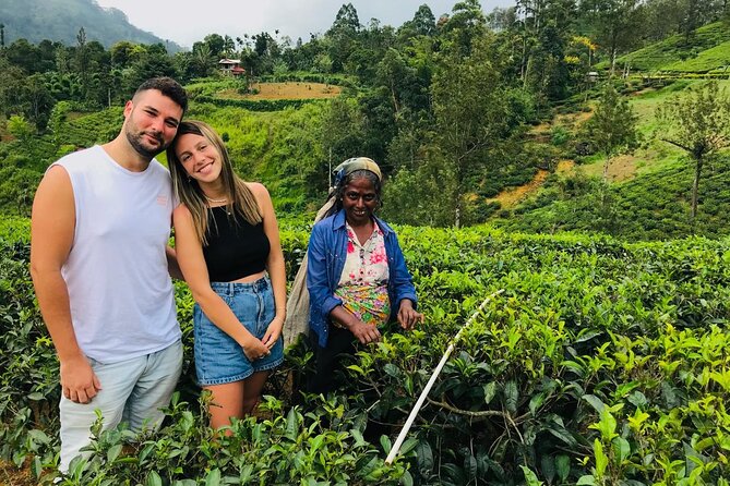 Ultimate 8-Day Sri Lanka Adventure: Private Guided Tour - Key Things You’ll Notice on This Tour