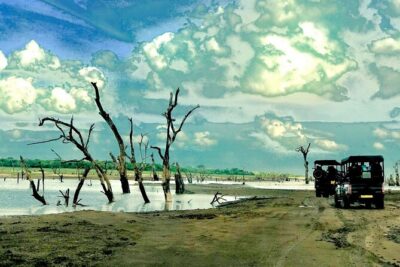 Ultimate 8-Day Sri Lanka Adventure: Private Guided Tour - Price and What You’re Really Paying For ($700 for a private 8-day plan)