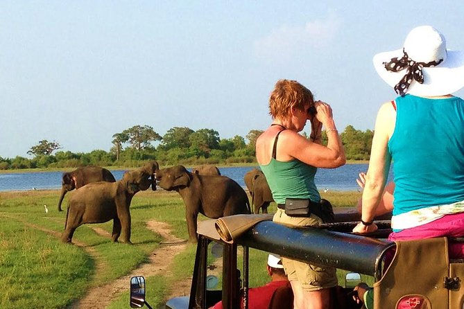 VALUE PACK! One Day Safari Tour to Yala and Udawalawa Parks - Why Yala and Udawalawe together makes sense