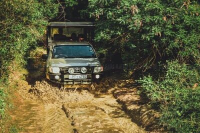 VALUE PACK! One Day Safari Tour to Yala and Udawalawa Parks - Yala National Park safari drive: leopards, buffalo, and the reality of rough roads