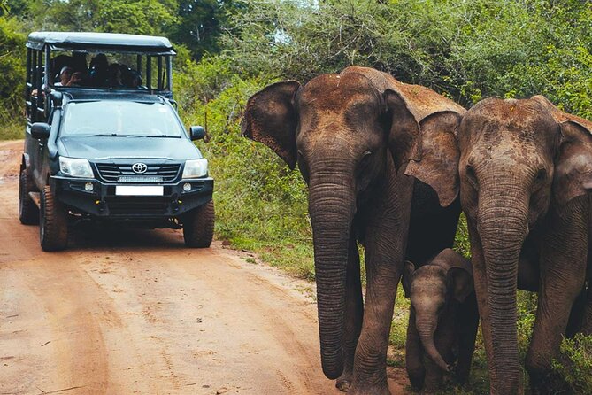 VALUE PACK! One Day Safari Tour to Yala and Udawalawa Parks - Elephant Transit Home (ETH): short stop, real-world elephant story