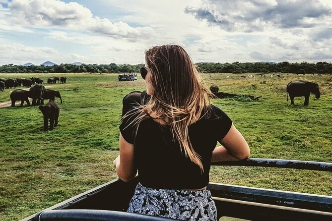 VALUE PACK! One Day Safari Tour to Yala and Udawalawa Parks - Lunch, water, and the long-day logistics in Bentota