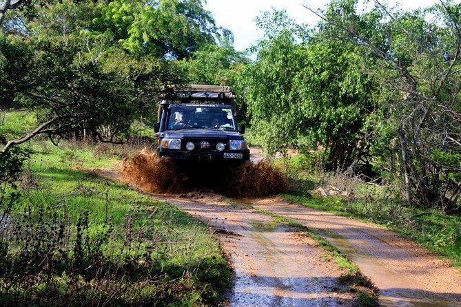 VALUE PACK! One Day Safari Tour to Yala and Udawalawa Parks - Wildlife-spotting tips that fit this exact itinerary