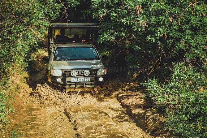 VALUE PACK! One Day Safari Tour to Yala and Udawalawa Parks - Yala National Park safari drive: leopards, buffalo, and the reality of rough roads