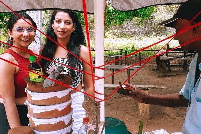 Visit Around Ella with diyaluma falls - How the private transport shapes your whole day