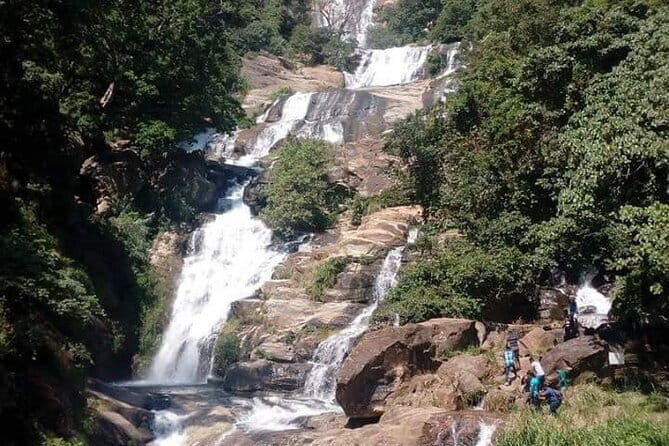 Visit Around Ella with diyaluma falls - Ella Spice Garden cooking-style class: herbs to take home mentally