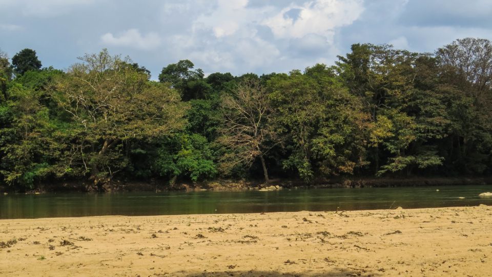 Wasgamuwa: Wasgamuwa National Park Private 3-Hour Safari - Pairing it with Polonnaruwa and Dambulla without wasting time