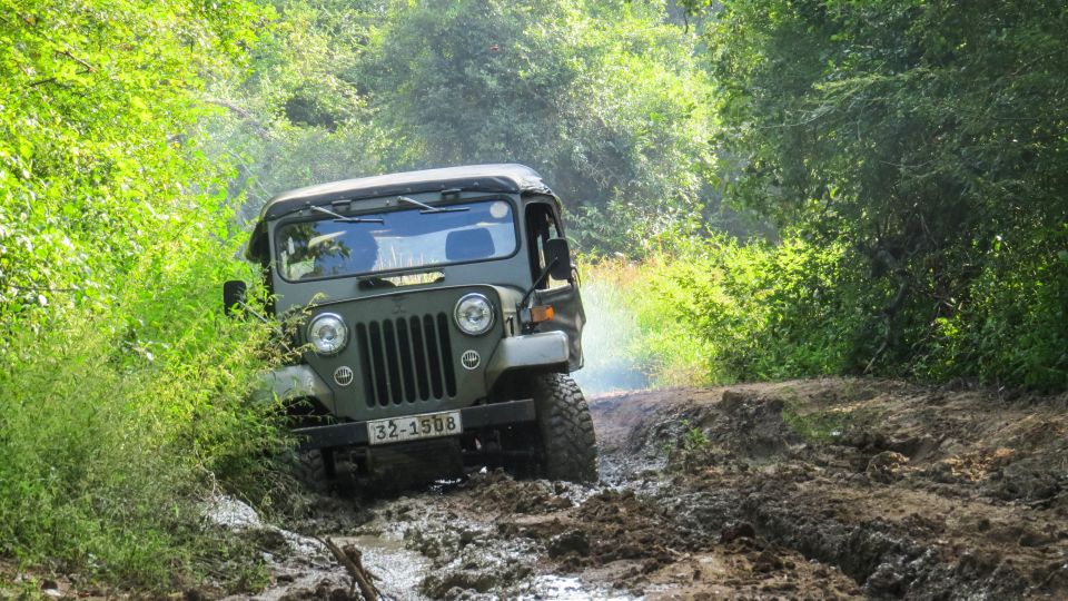 Wasgamuwa: Wasgamuwa National Park Private 3-Hour Safari - Guides, driver style, and how to get more from the ride