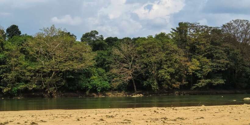 Wasgamuwa: Wasgamuwa National Park Private 3-Hour Safari - Who this safari fits best (and who should skip it)