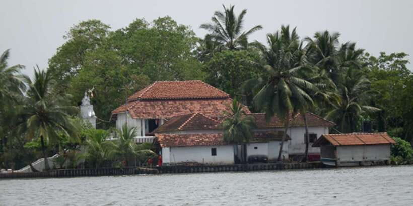 West coast Beach, River Mangroves lagoon, Wildlife boat Tour - Madu Ganga river safari: birds, crocodile watch, and mangrove roots up close