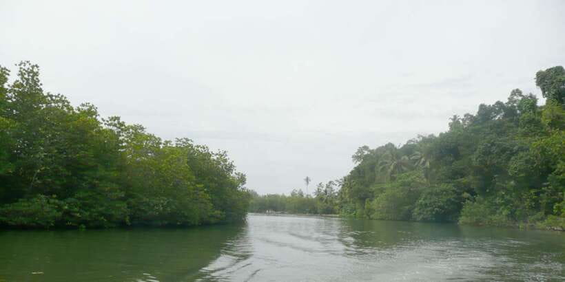West coast Beach, River Mangroves lagoon, Wildlife boat Tour - Moon stone mine, king coconut, and those included extras