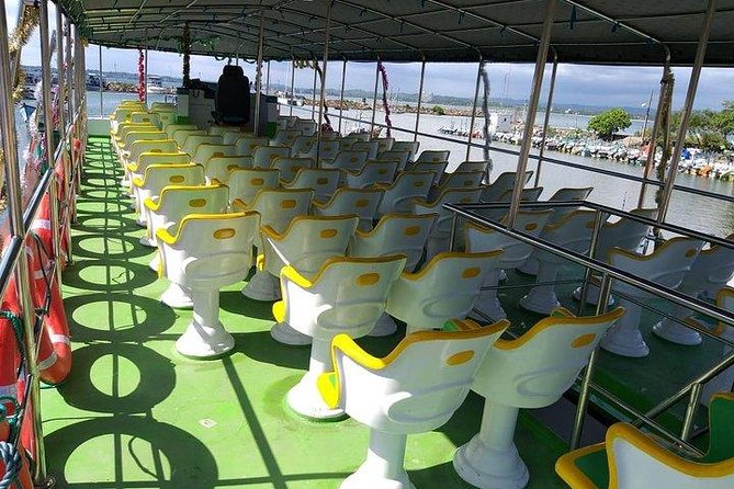Whale & Dolphin Watching Day Tour including Handunugoda Teafactory - Whale & Dolphin Time on the Water: What the Boat Experience Really Means