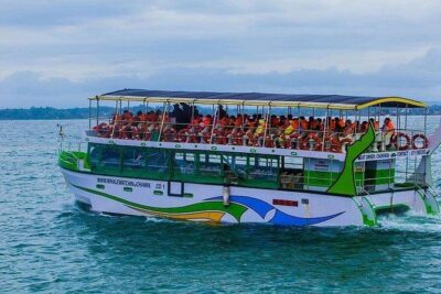 Whale & Dolphin Watching Day Tour including Handunugoda Teafactory - The 4-Hour Mirissa Window: How to Use Your Time Well