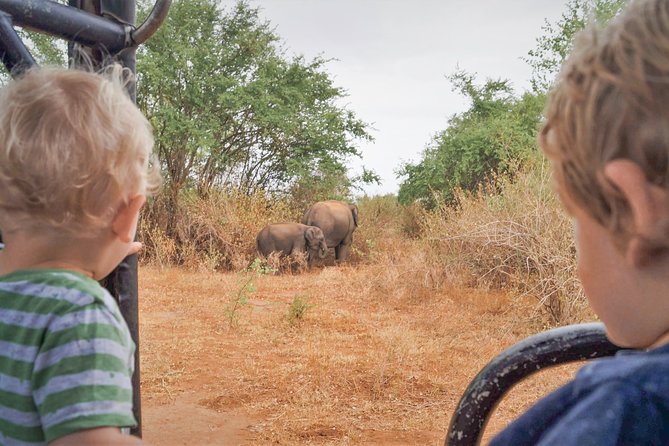Wild Elephant Safari in Minneriya National Park - Minneriya’s Elephant Economy: What Makes This Park Special