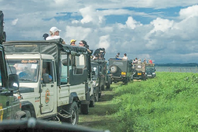 Wild Elephant Safari in Minneriya National Park - Price and Value: Is $30 a Good Deal?