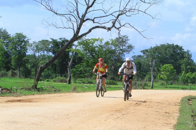 Wilpattu Half Day Safari From Anuradhapura - Who this safari suits (and who should think twice)