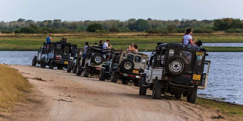 Wilpattu National Park Safari Tour from Colombo - Driver and guide quality: why it changes the whole day