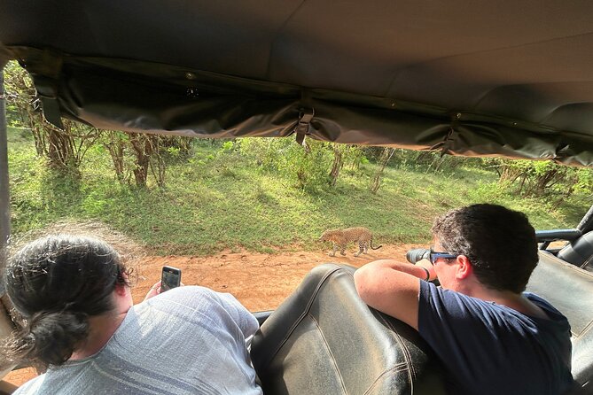 Yala 4h Jeep Safari: Guided Wildlife Experience (All Inclusive) - How the schedule fits a full day (without wrecking it)