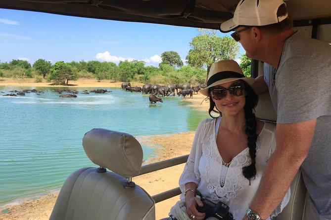 Yala Full Day Safari with Picnic Lunch - Private & All Inclusive - 4am–5:30am Pickup: The Trade-Off for Better Wildlife Odds