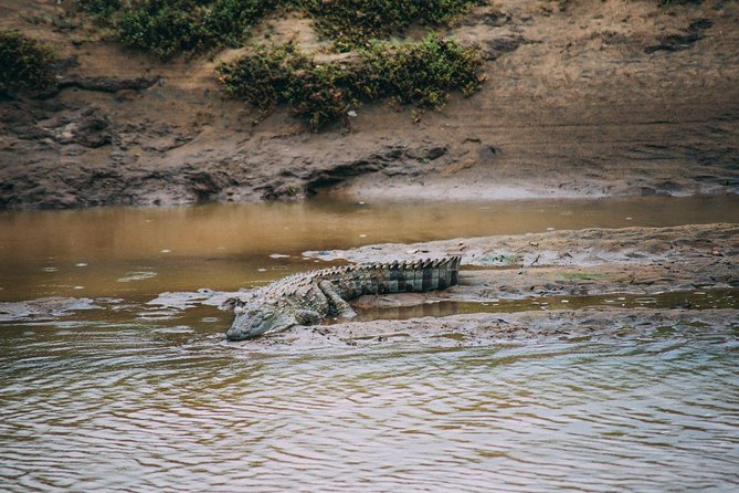 Yala Full Day Safari with Picnic Lunch - Private & All Inclusive - Picnic Lunch and Bottled Water: Included Means Less “What Now?”