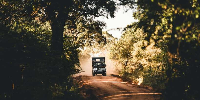 Yala: Morning or Afternoon All-inclusive Private Safari - Getting Into the Park: Pickup Options That Matter