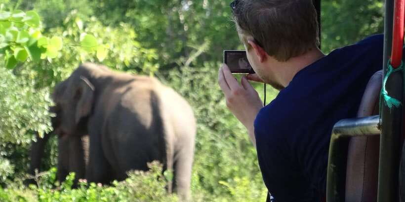 Yala National Park: All Inclusive Full-Day Safari with Lunch - Yala’s dry-zone wildlife: why the extra Jeep time pays off