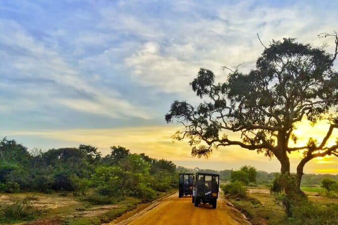 Yala National Park Private Jeep Safari From Colombo & Negombo - Key Highlights to Know Before You Go
