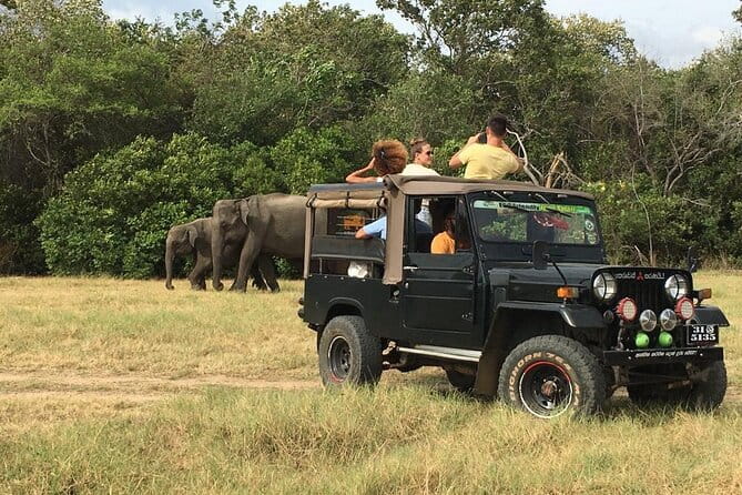 Yala National Park Private Jeep Safari From Colombo & Negombo - The Jeep Ride: What Comfort Looks Like in Open Safari Mode