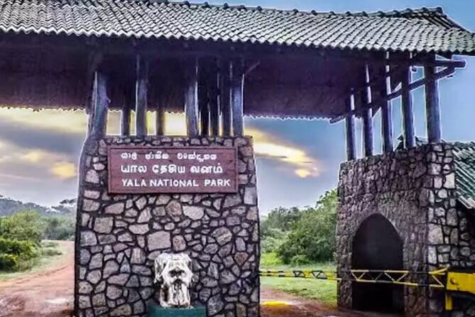Yala National Park Private Jeep Safari From Colombo & Negombo - Price and Value: Is $250 a Good Deal?
