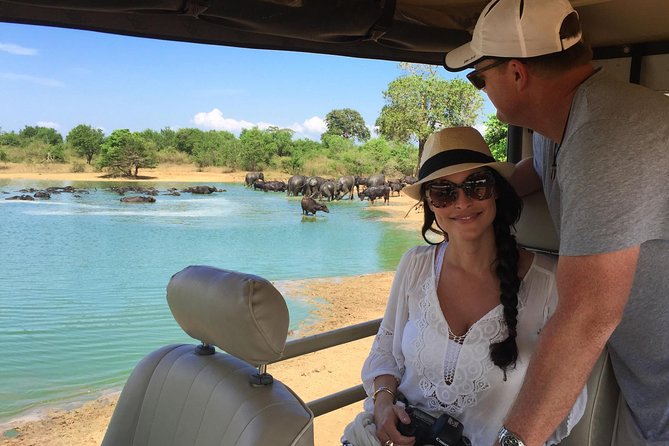 Yala Safari Day Trip from Bentota/ Kalutara/ Ahungalla/ Hikkaduwa - Getting to the Park: Private Transport With a Real Human Driver