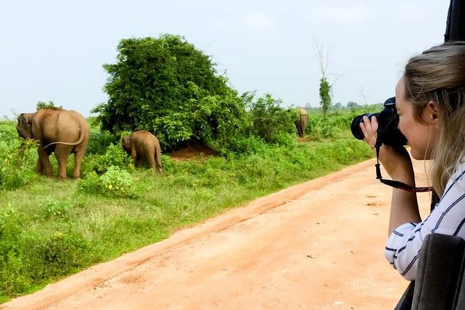 Yala Safari Day Trip from Bentota/ Kalutara/ Ahungalla/ Hikkaduwa - Who This Yala Day Trip Fits Best