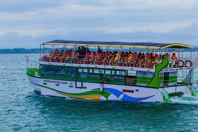 Yala Safari Private Day Tour From Kaluthara/Beruwala/Bentota/Kosgoda/Ahungalla - What to expect on the ground: a realistic flow of the day