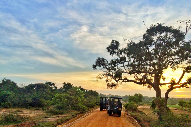 Yala Safari Private Day Trip from Bentota and Kalutara Areas - Lunch and budgeting: what you pay for on your own