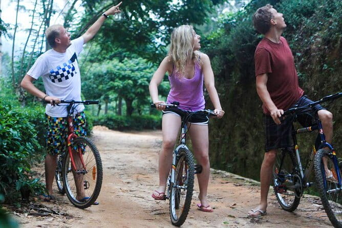 Zip Lining Experience in Ella - Views over tea estates and the Ella Gap