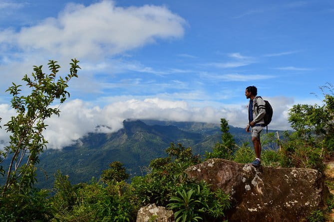 Zip Lining Experience in Ella - What your 30 minutes will probably feel like