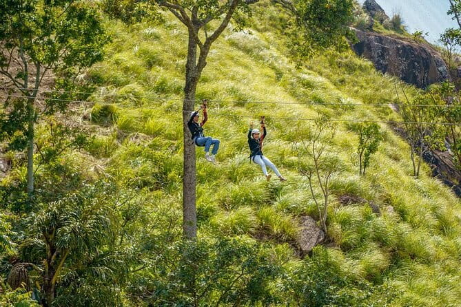 Zip Lining Experience in Ella - Price and value: is $40 worth it in Ella?
